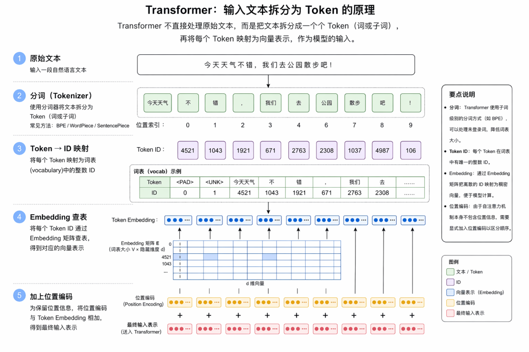 文本到 Token 与向量的转换